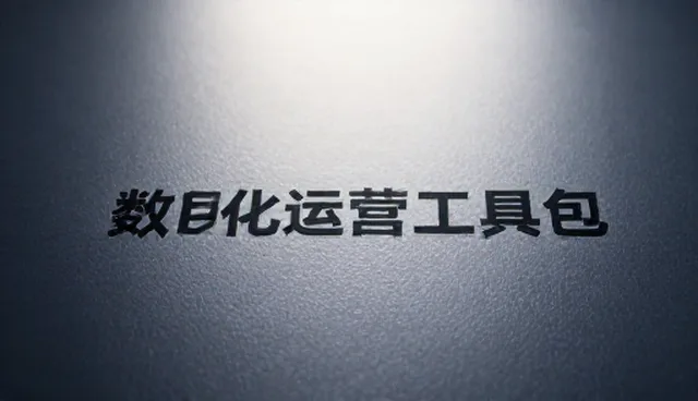 数据处理在平台搭建中的关键作用与问题分析